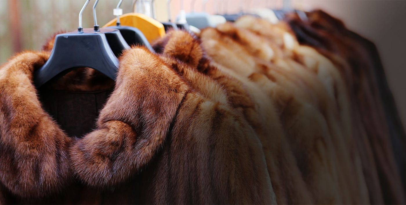 How Can You Maintain Your Fur Coat After You Buy It?