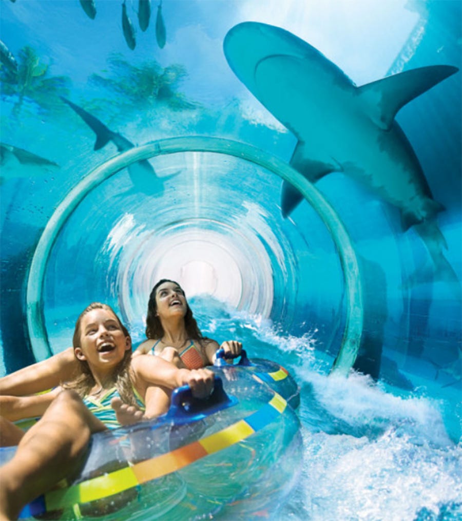 Water Slide Through a Shark Lagoon | by Hunter Cabot | An Idea (by  Ingenious Piece) | Medium