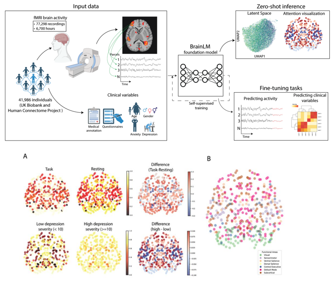 Brain-Inspired Technologies that is advancing AI | by Joe El ...