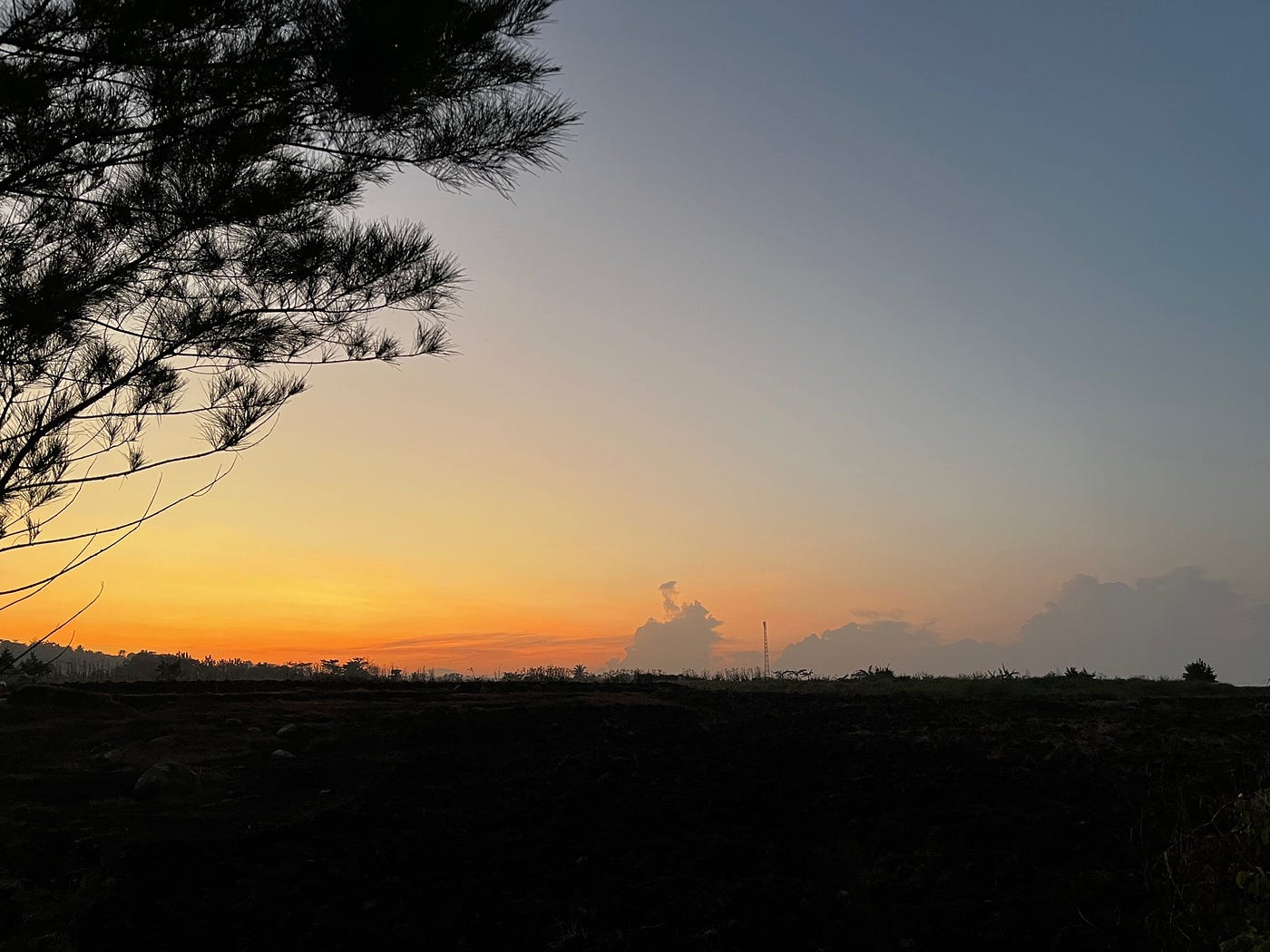 The farmer’s garden during Sunrise