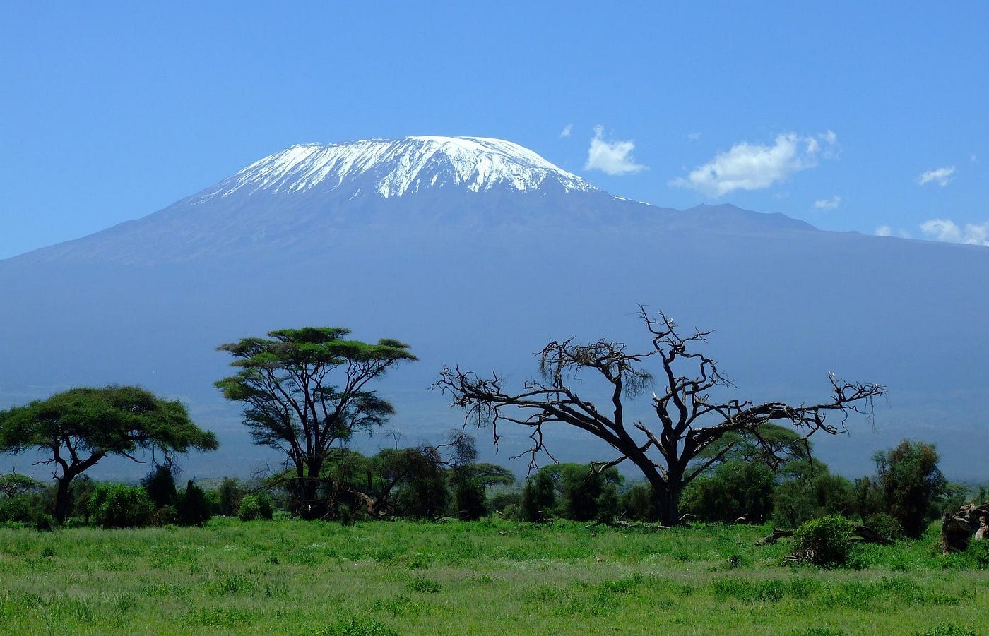 Kilimanjaro tanzanite best sale