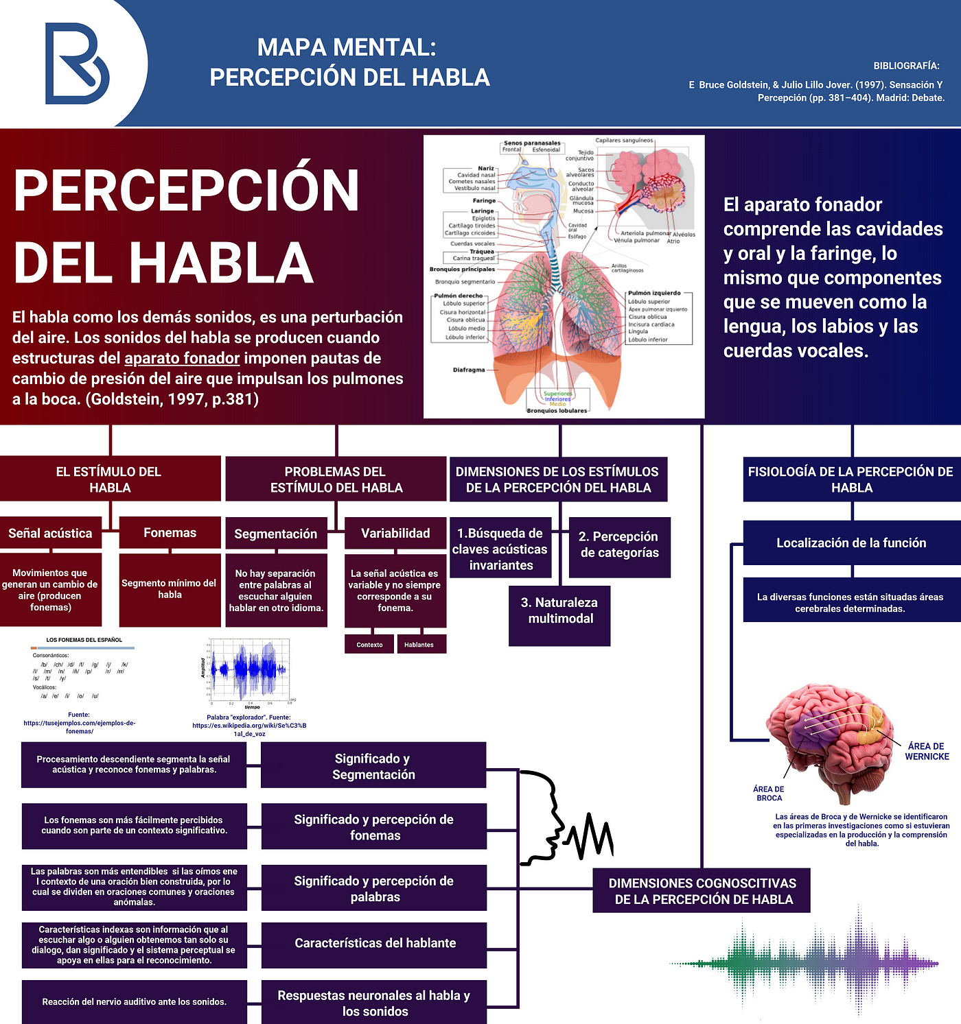 Mapa Mental: Percepción del habla - HABLEMOS DE PSICOLOGÍA - Medium