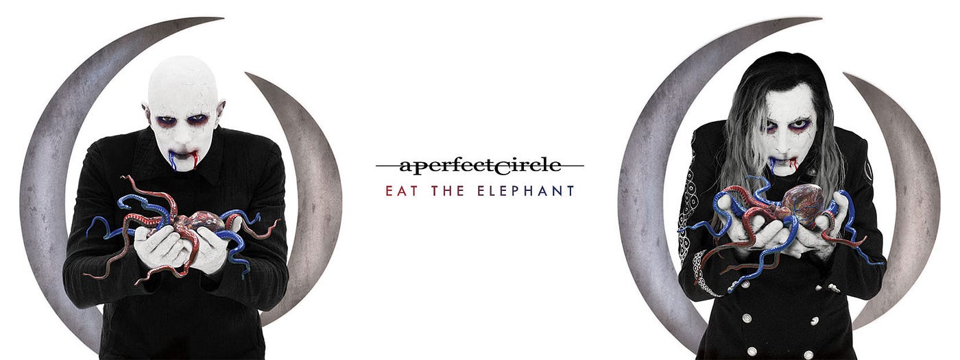 A Perfect Circle - The Doomed Lyrics