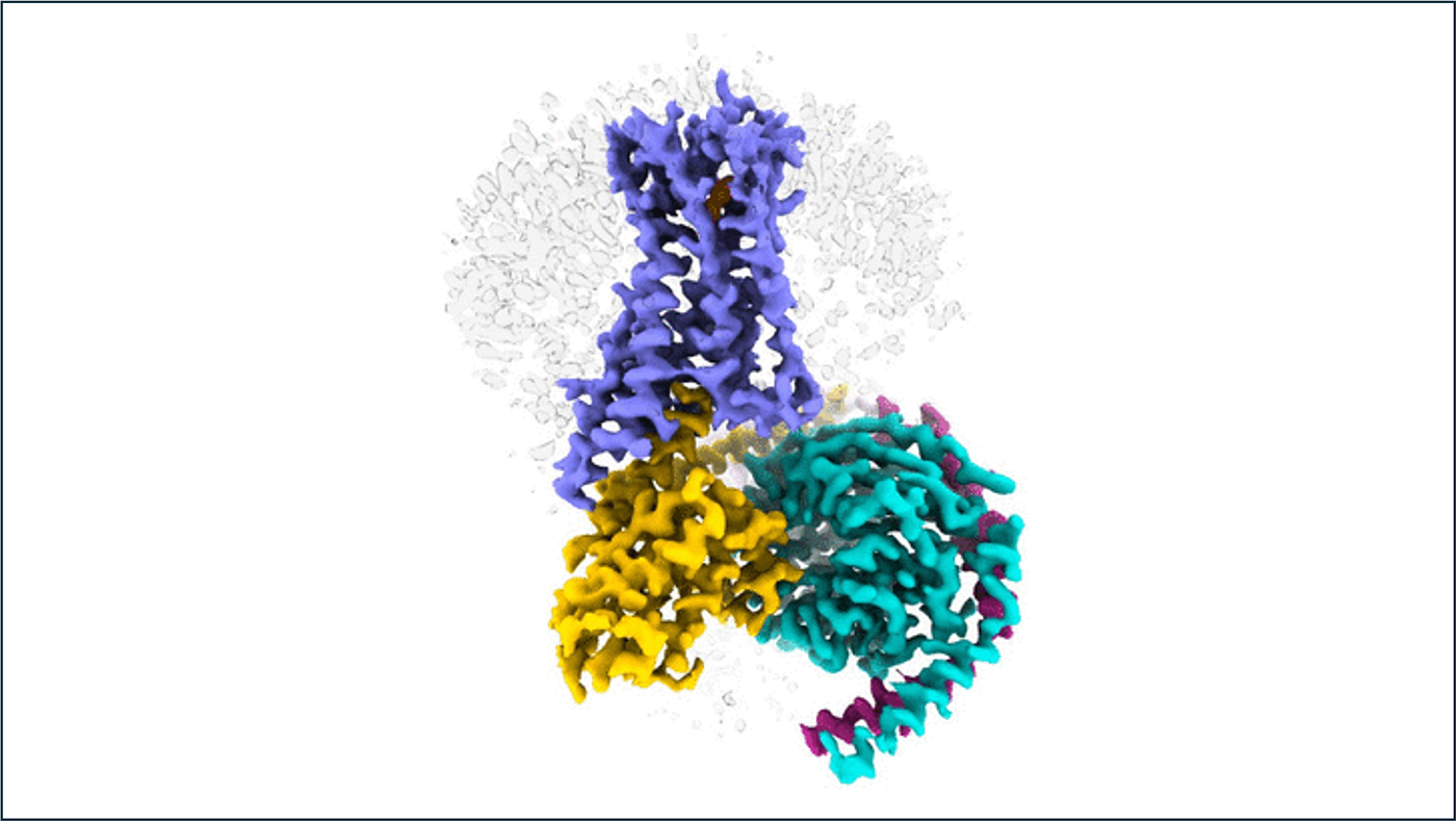 flexFS™ High-Performance File System Accelerates Cryo-EM Analysis
