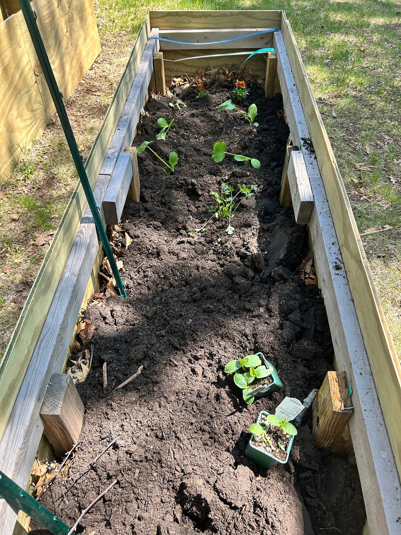 From Roof to Roots, (part two)