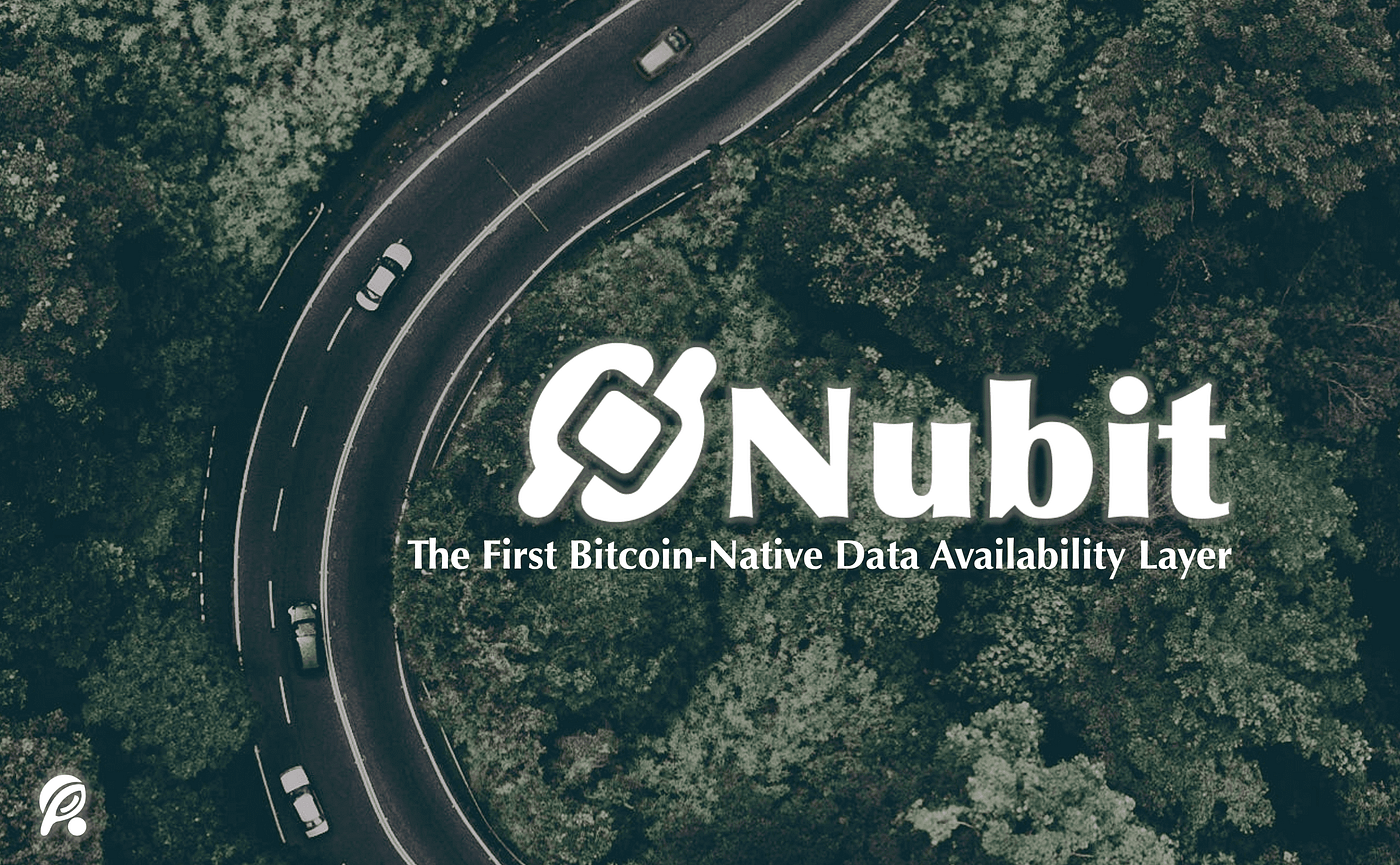 Riema Labs Secures Angel Investment for Launching the First Bitcoin-Native  Data Availability Layer | by Nubit | Nubit-Bitcoin | Medium