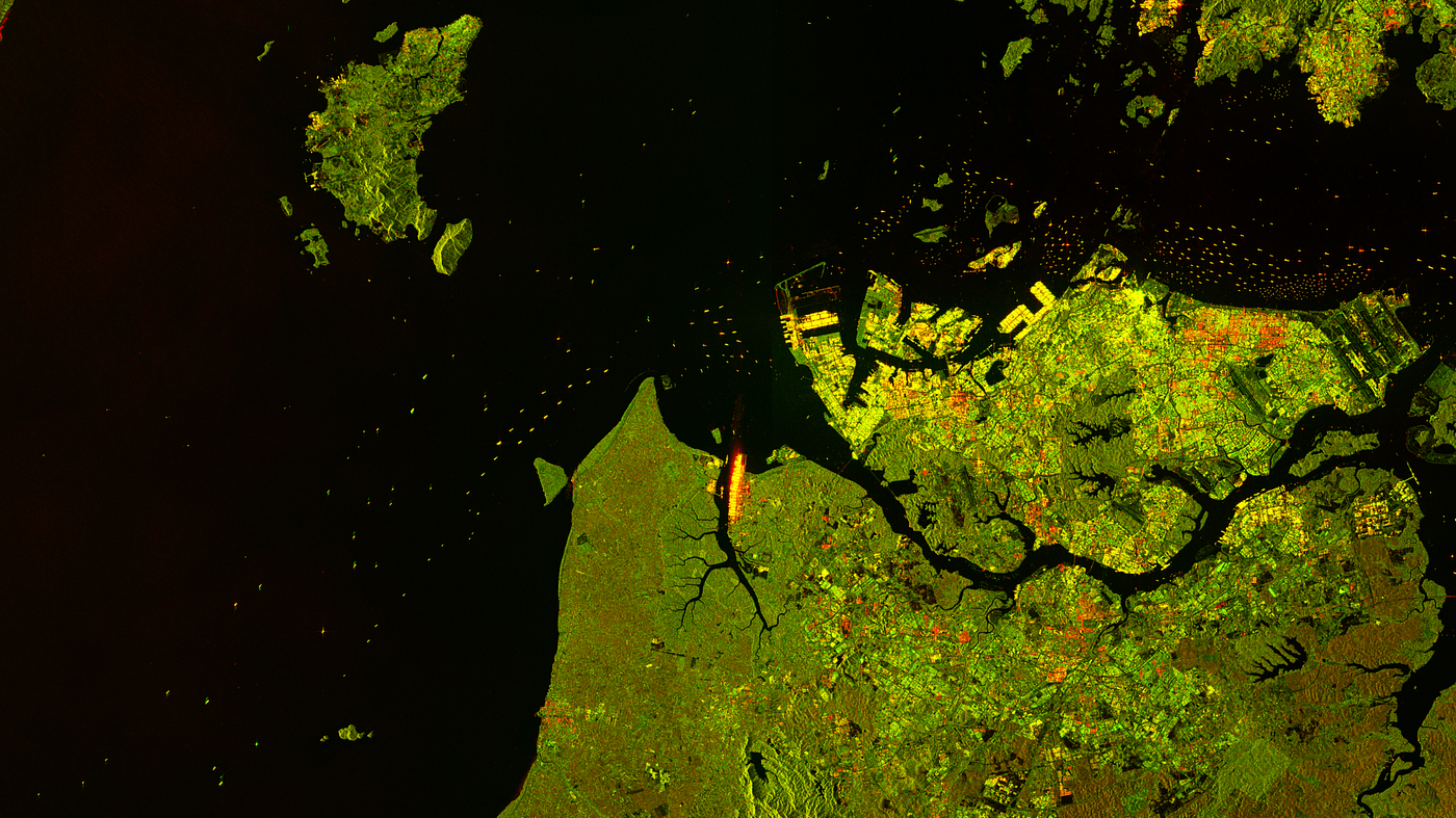 The raw, noisy, and distorted SAR data before any processing.