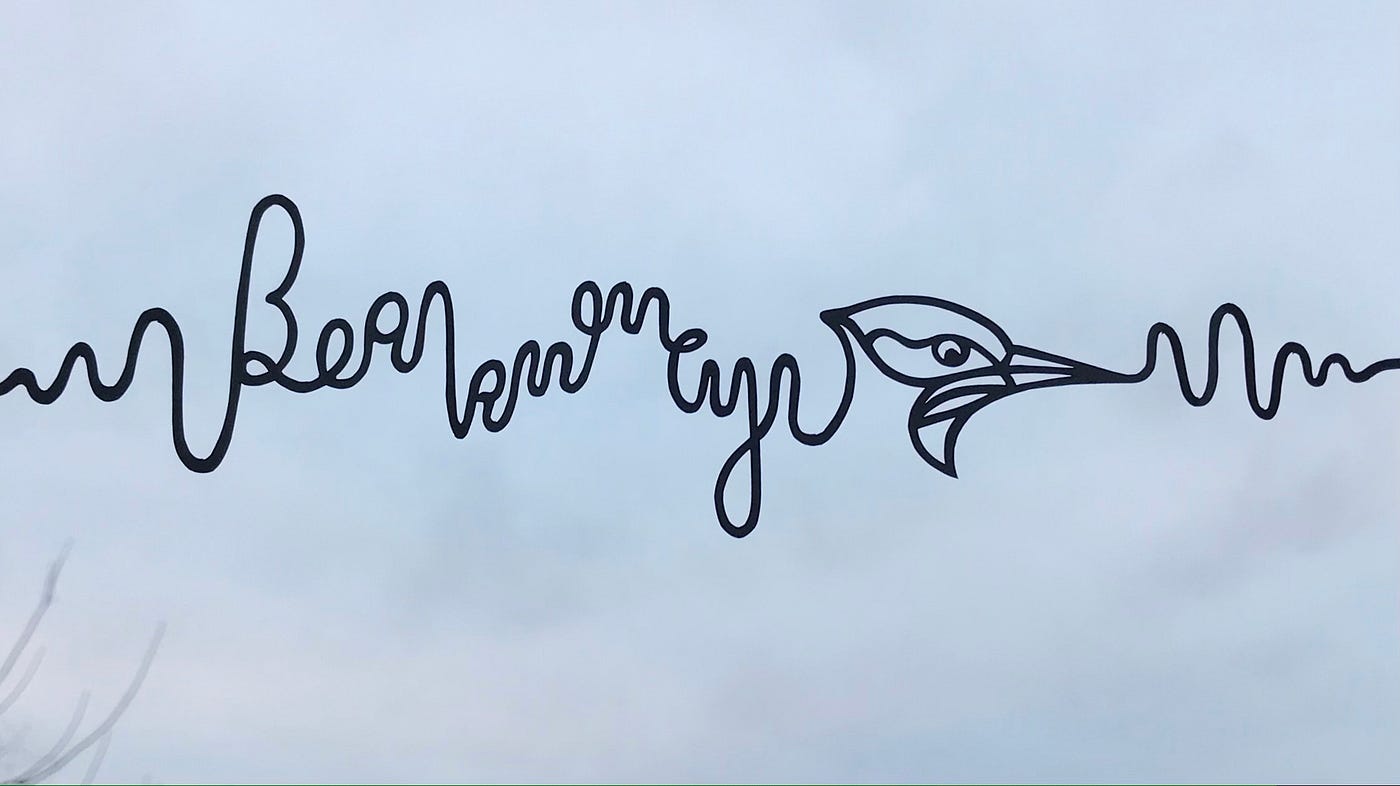 To document the abundance of knowledge, experiences, and insights of the Hudson Valley birders’…