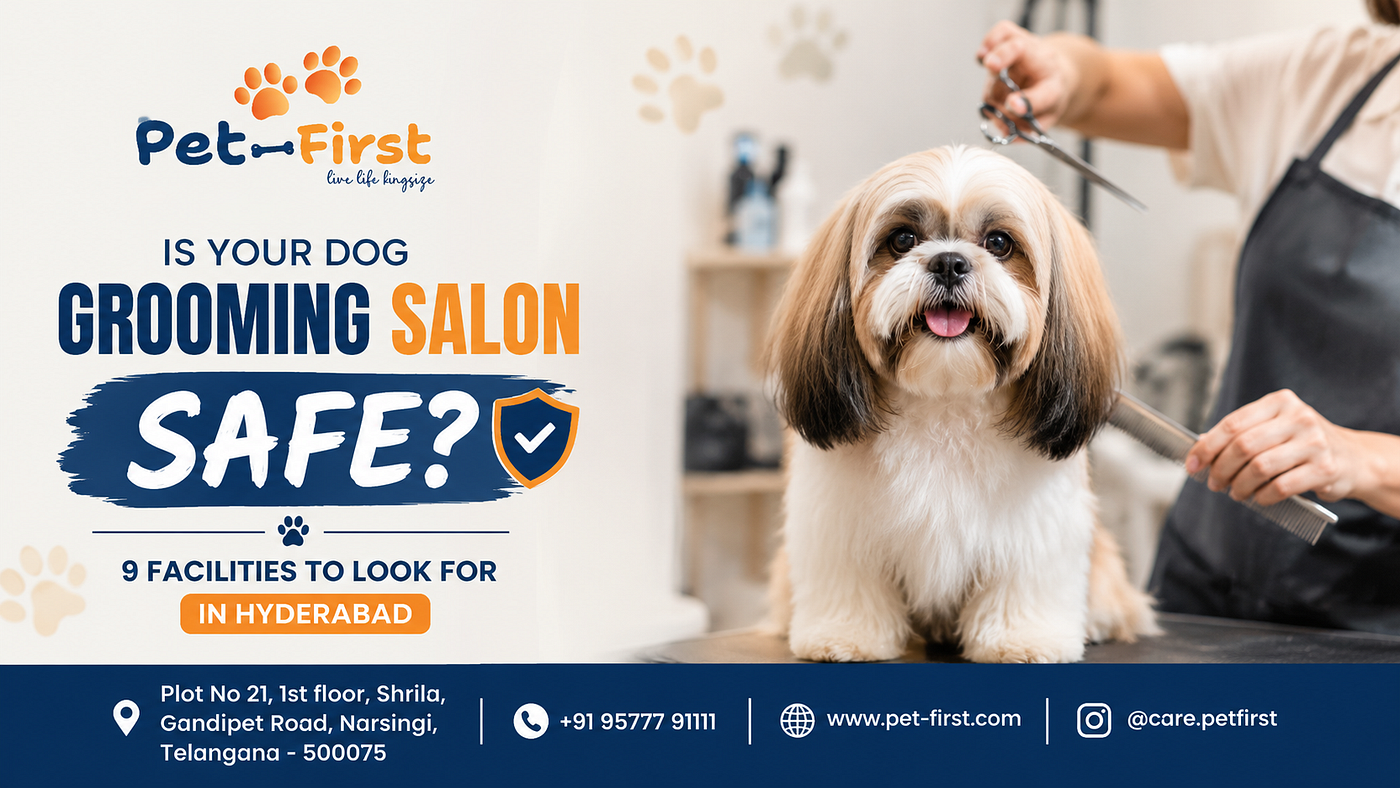 Is Your Dog Grooming Salon Safe? 9 Facilities to Look For in Hyderabad