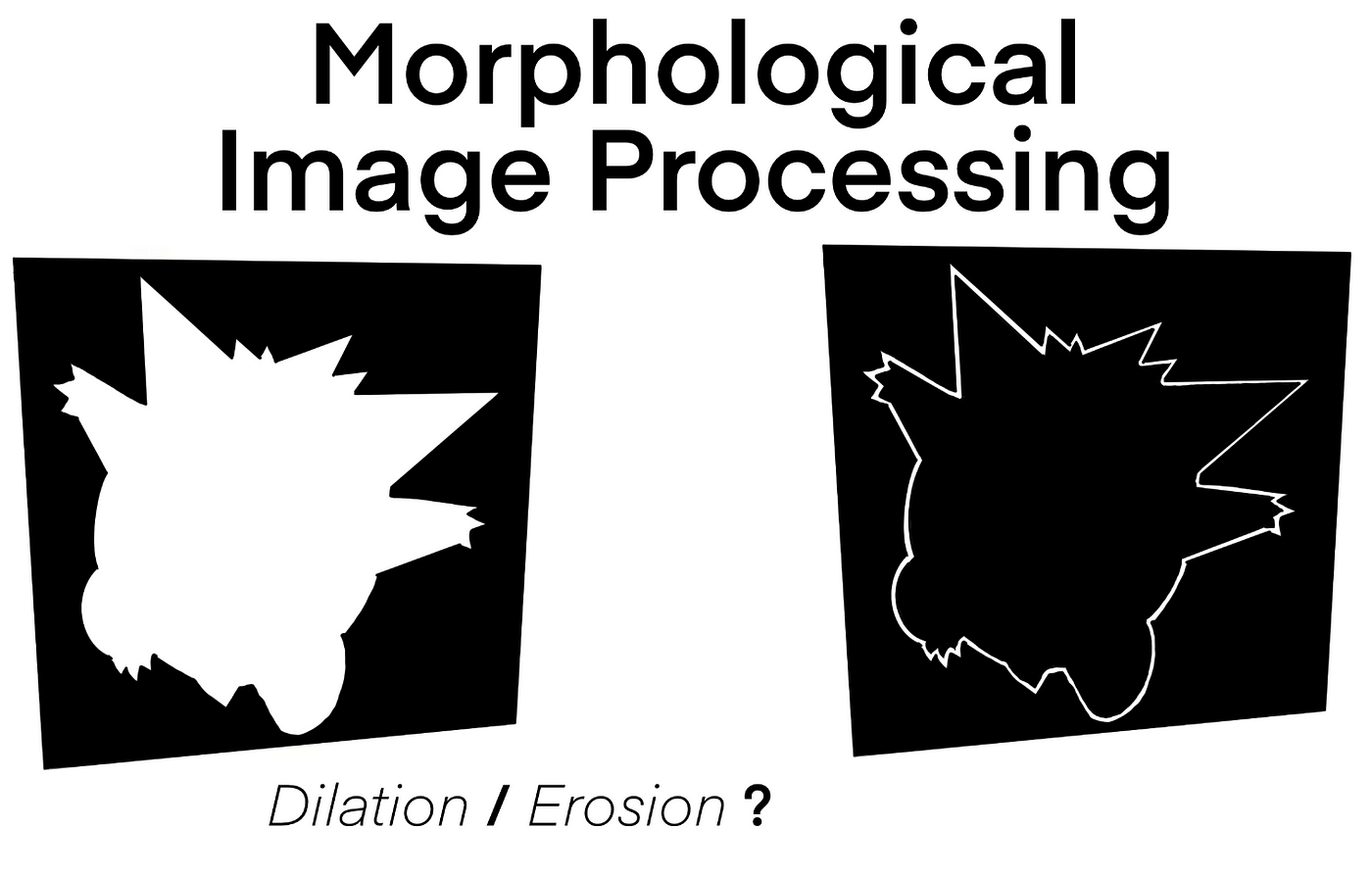 Experimental results of morphological evolution of square