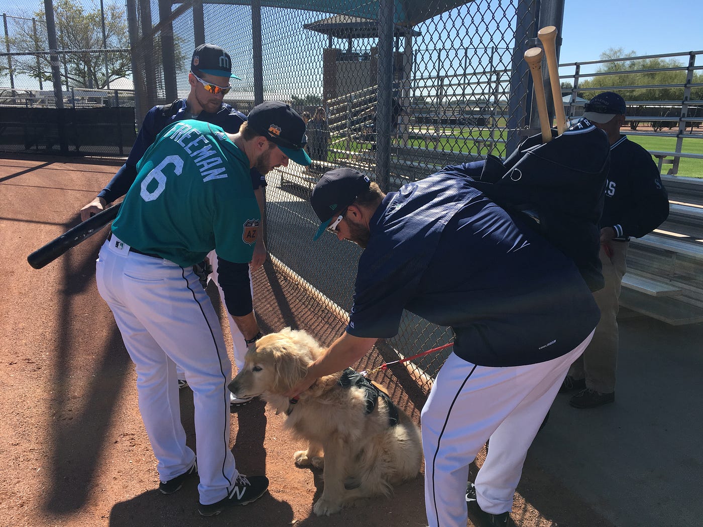Mariners Spring Training — Day 11 | by Mariners PR | From the Corner of  Edgar & Dave