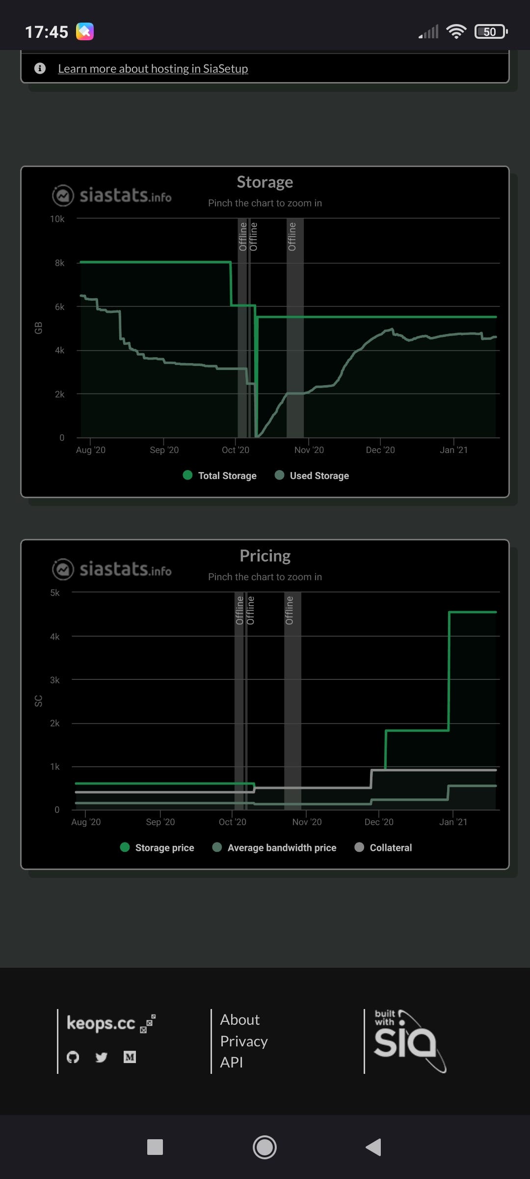 A year as a Storage Provider on Sia and Storj networks | by Sculptex |  Medium