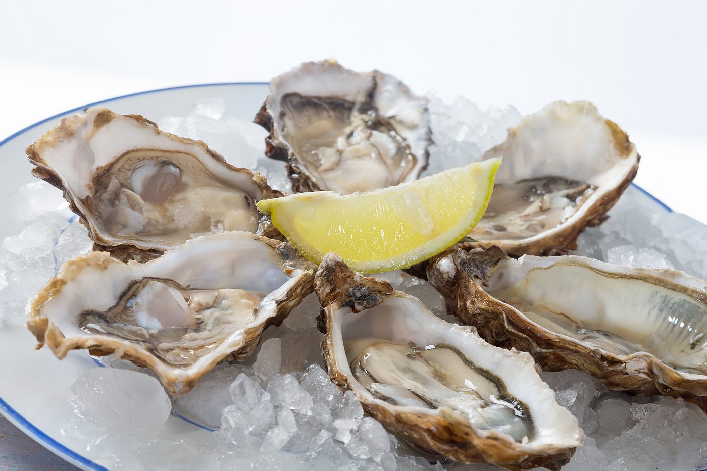 Quotes for National Oyster Day In honor of a seafood lover's