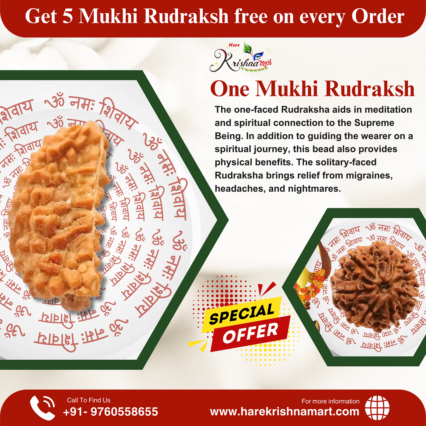 Explore 1 Mukhi Rudraksha Price| Hare Krishna Mart