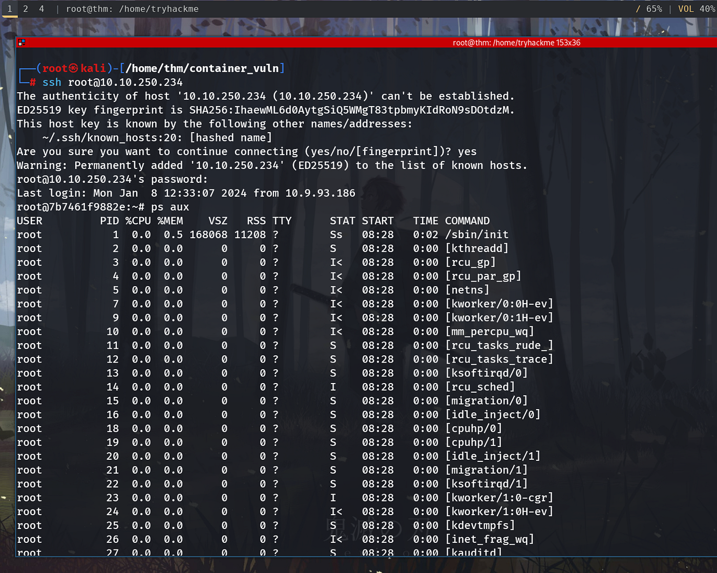 TryHackme Container Vulnerabilities Write-Up | by Joseph Alan | Dev Genius