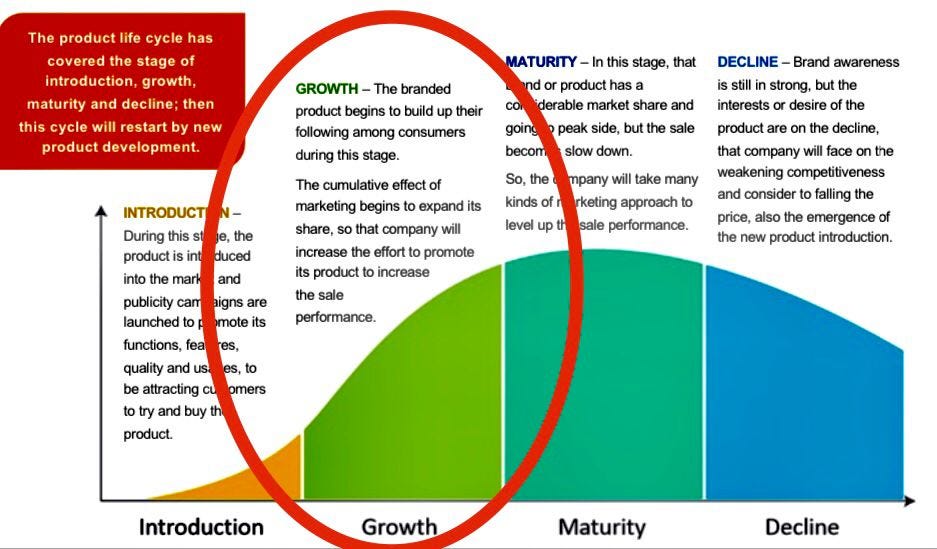 Louis Vuitton Segmentation, Targeting and Positioning