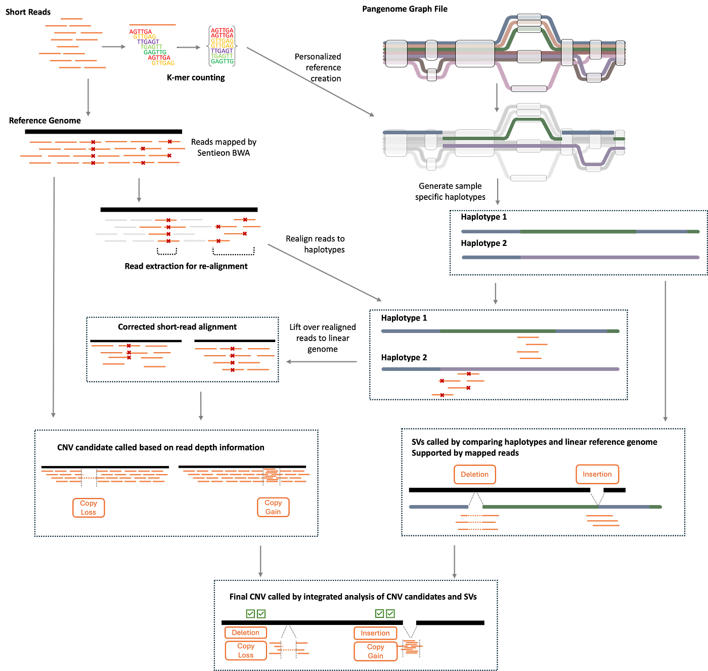 DNAscope Pangenome for SV and CNV: Fast, Accurate, and Cost-Efficient Short-Read Structural Variant…