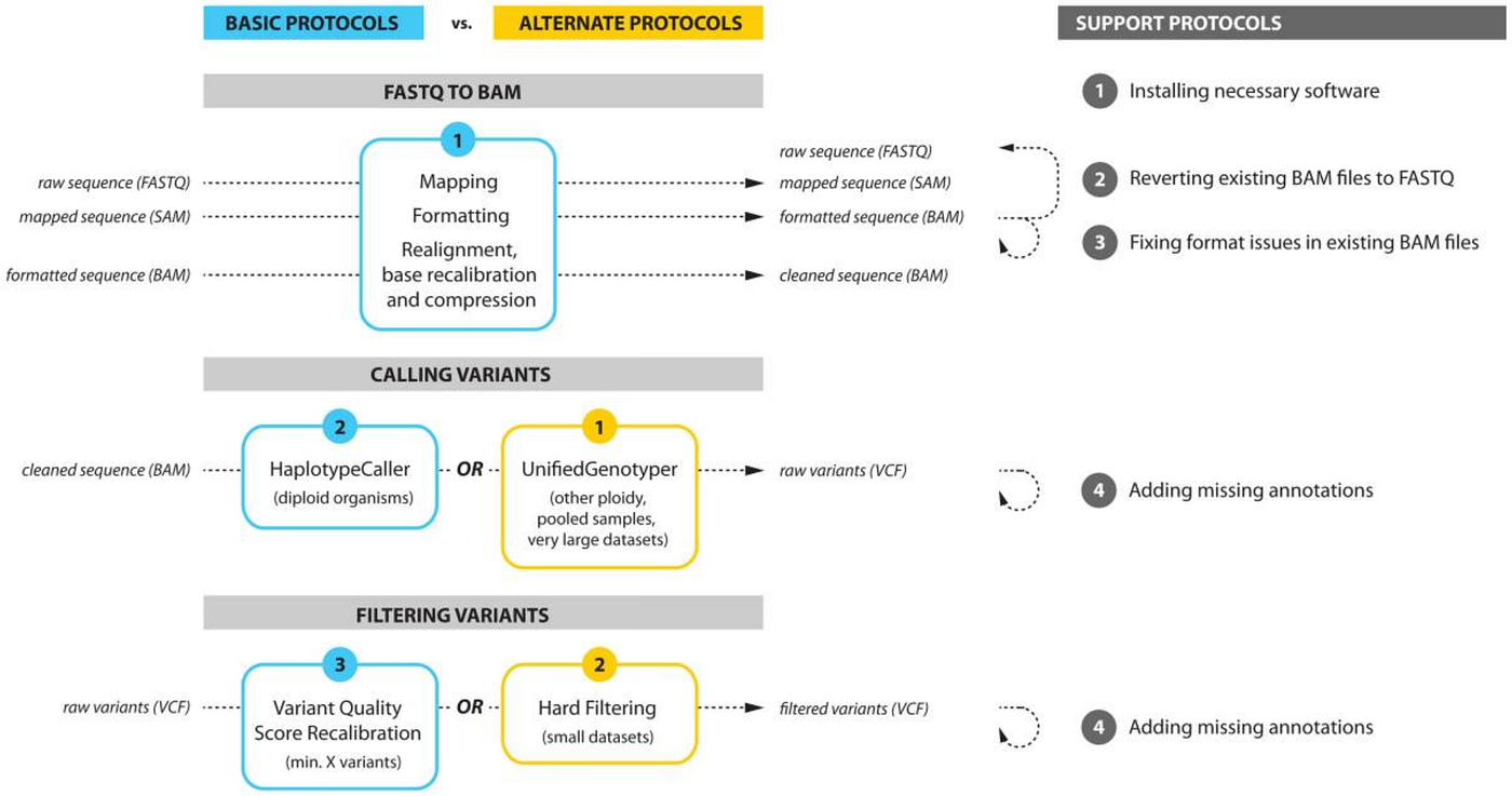 Strategic plan workflow for the Genome Analysis Toolkit (GATK) best practices pipeline, https://www.ncbi.nlm.nih.gov/pmc/articles/PMC4243306/ [3].