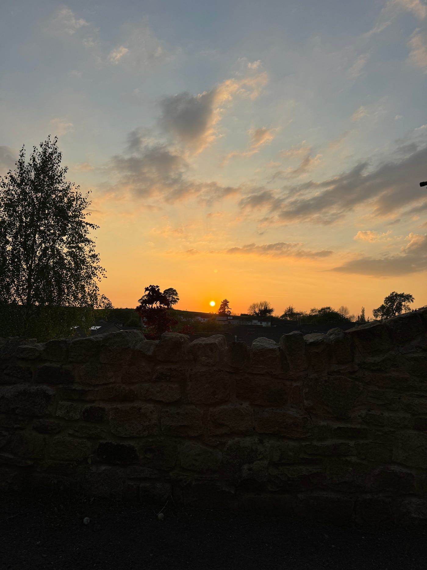 The backyard sunset