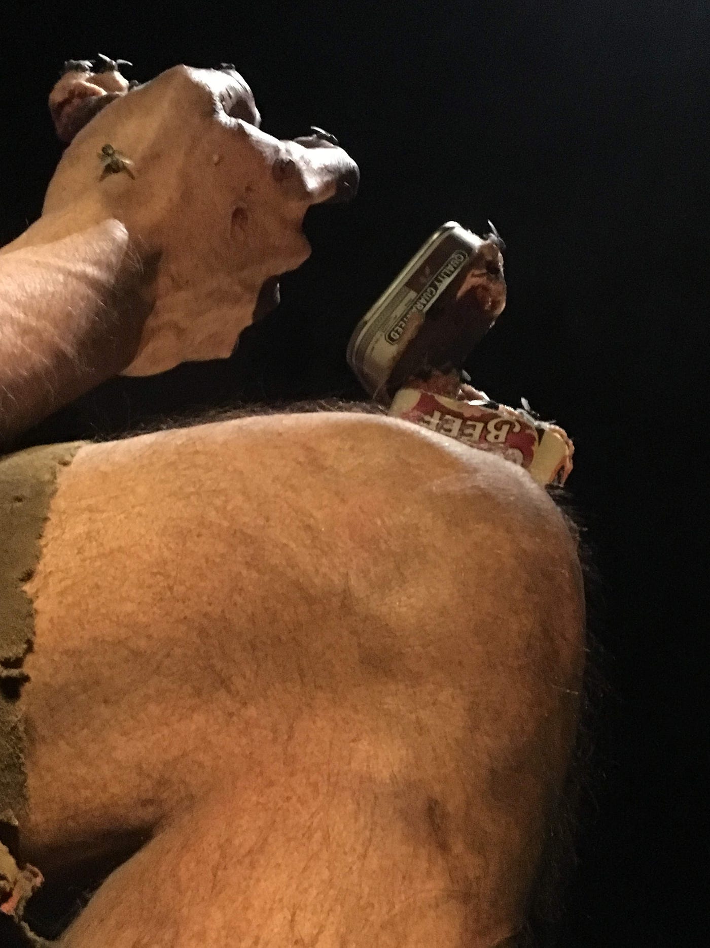 The life-like displays at the Gallipoli exhibition that were created by Weta