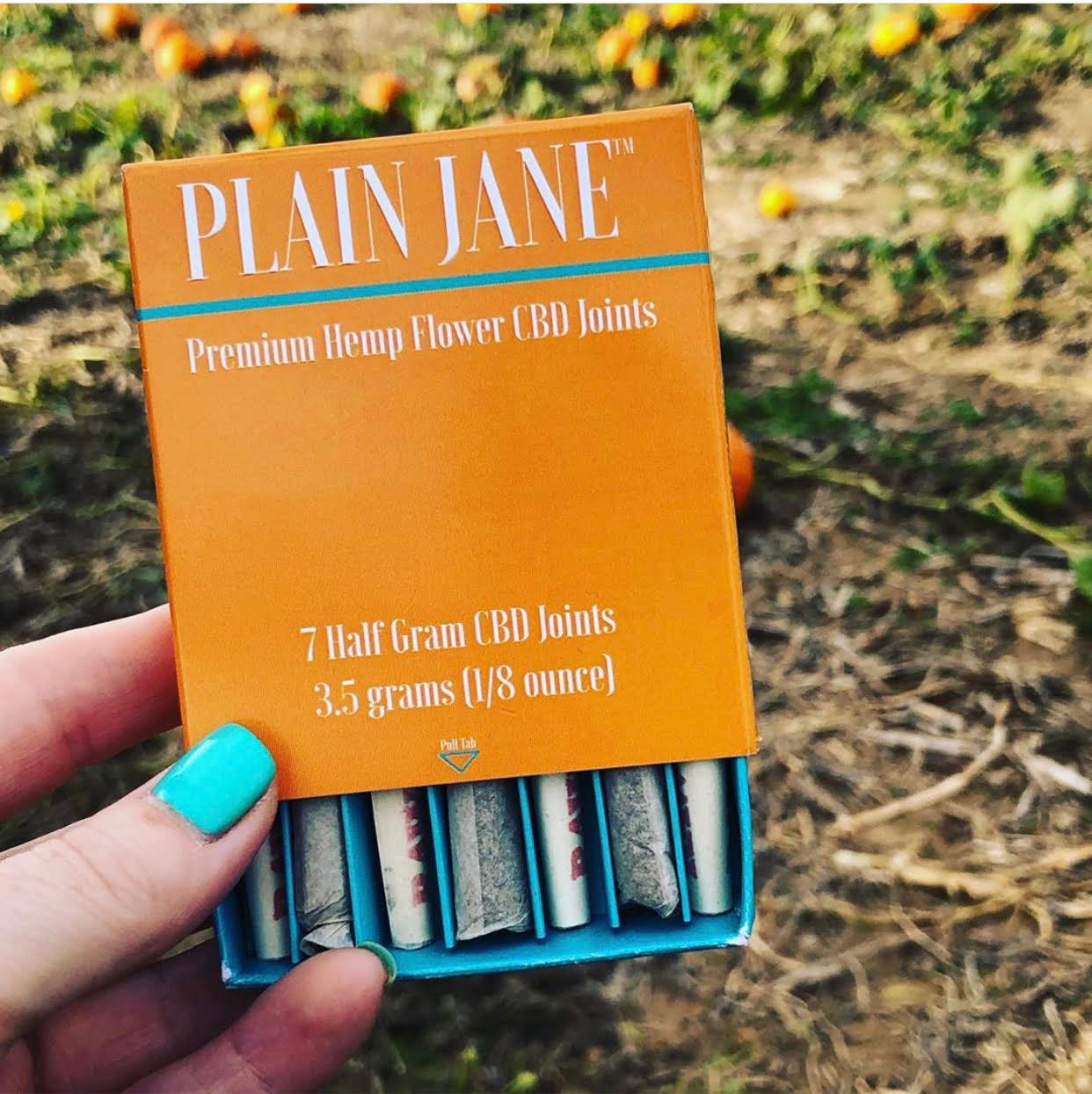 Try Plain Jane- Cannabis-Hemp CBD- Product Line Review | by Veronica  Castillo