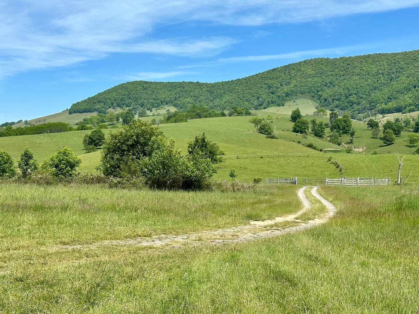 Virginia to the left of the lane, West Virginia to the right. Photo by Bruce Stambaugh