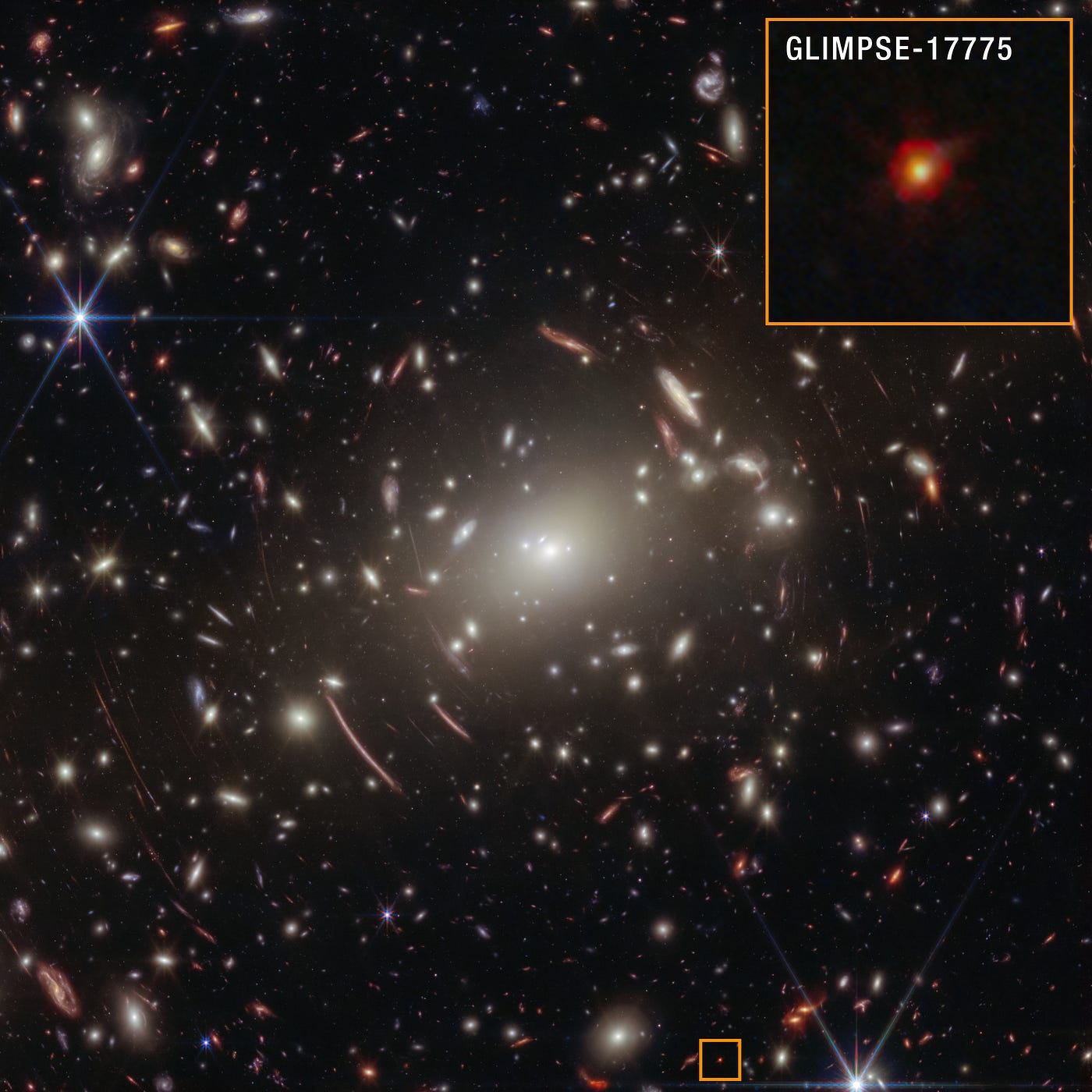Black Hole Stars: Has JWST Found a Missing Cosmic Link?