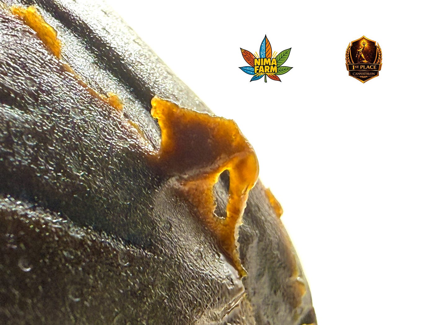 How to Recognize a Premium CBD Extract