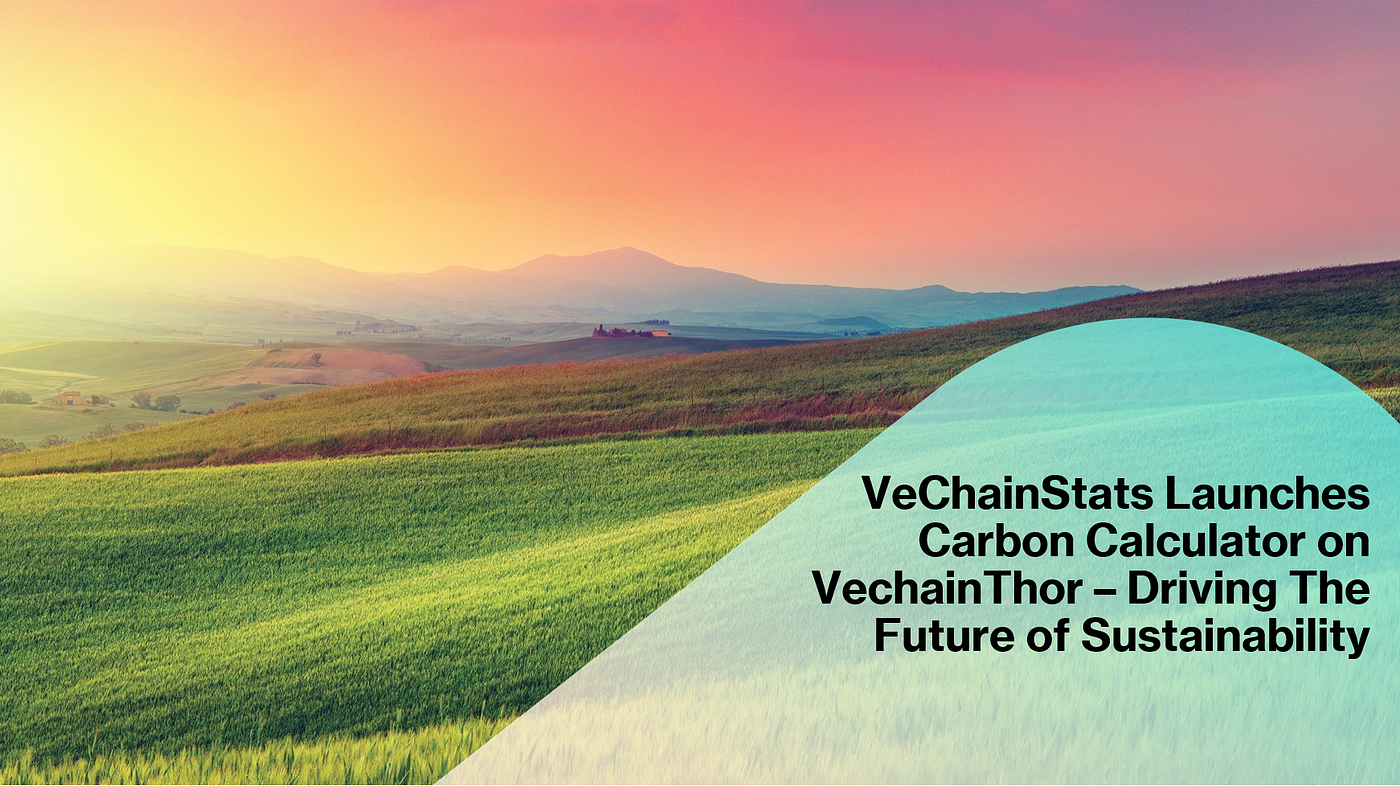 VeChainStats Launches Carbon Calculator, Bolstering Vechain's Role In The  Digital-Sustainable Revolution | by vechain | vechain | Medium