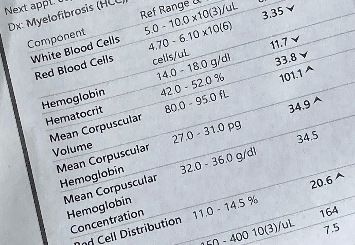 Bone Marrow Transplant: My Numbers Just Exploded!