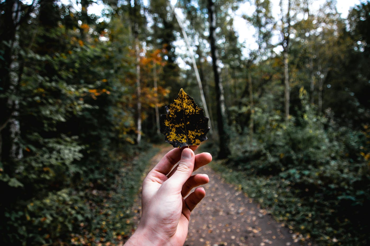 “I Left a Stable Path in My 20s and Built a Life I Actually Want to Wake Up To”