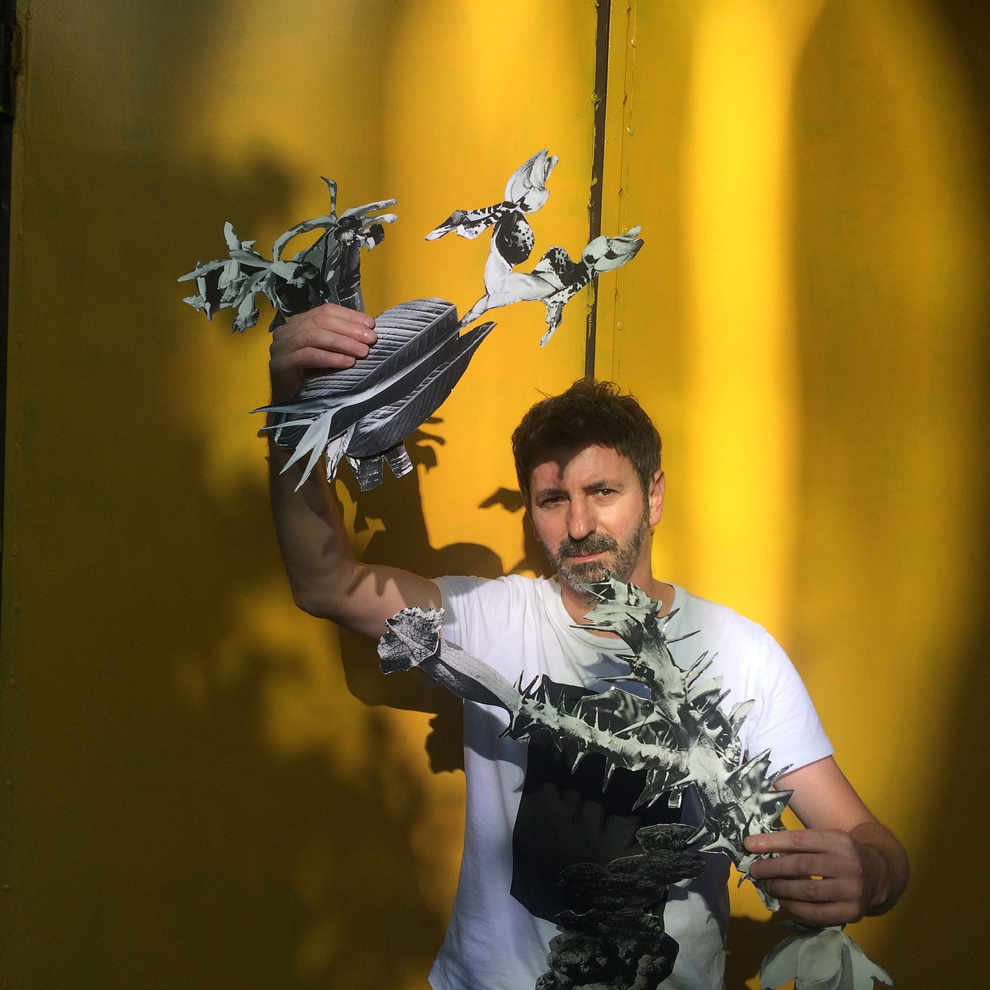 Za darmo zrobią ci odjechane zdjęcie z roślinami — Portret z Rośliną