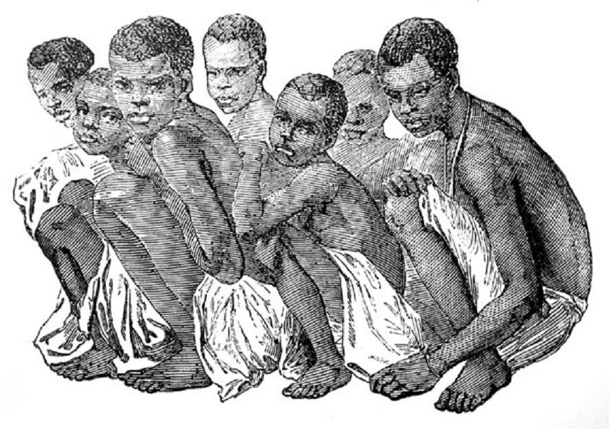 Black Slavery Castration Porn - African Male Slaves Experienced Untold Hardship During the Slave Trade Era  | by Yewande Ade | History Street | Medium