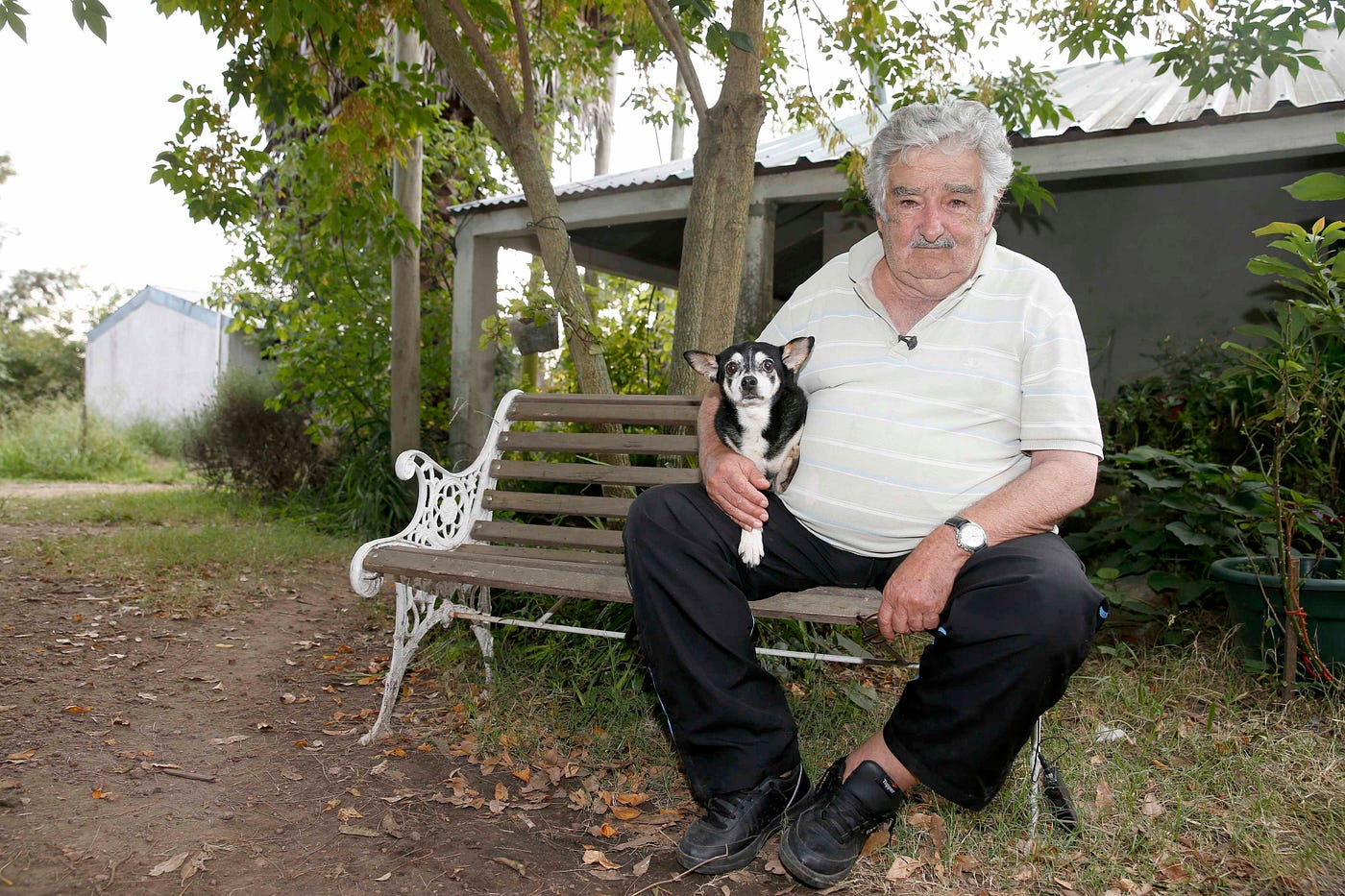 Ag'obusaasi; Owabaireho Purezidenti wa Uruguay, Jose Pepe