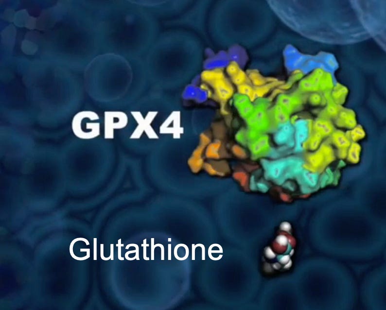 does thiamine deficiency cause glutathione deficiency Frontiers