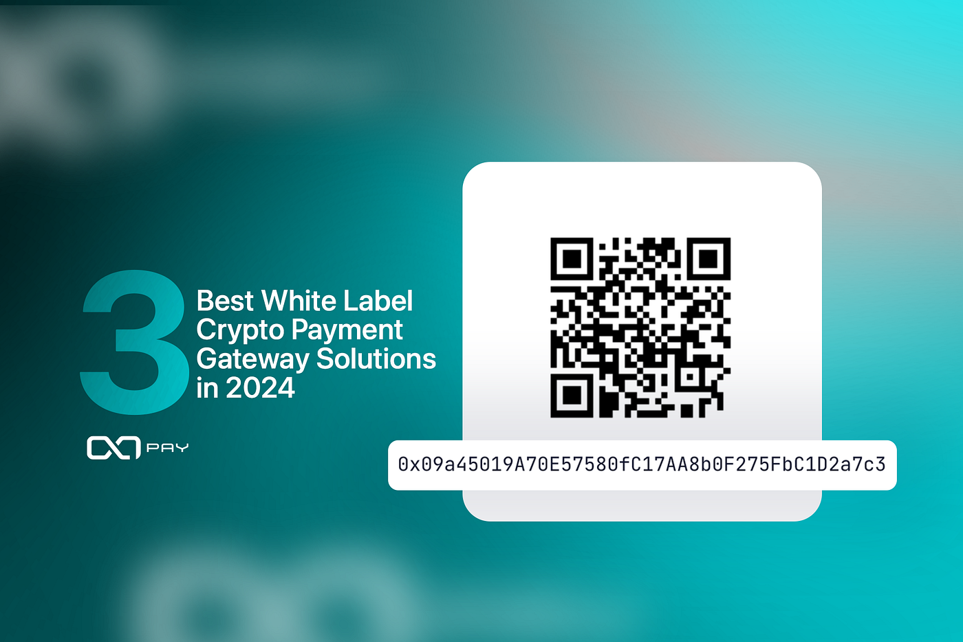 3 Best White Label Crypto Payment Gateway Solutions in 2024 | by OxaPay |  Medium