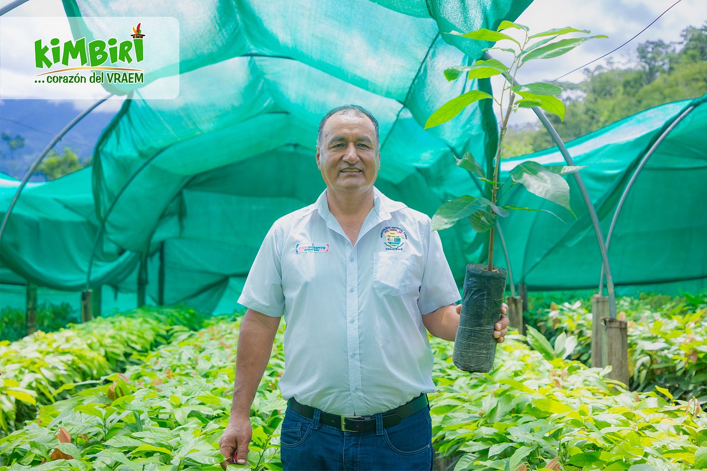 PROYECTO CACAO KIMBIRI VRAEM