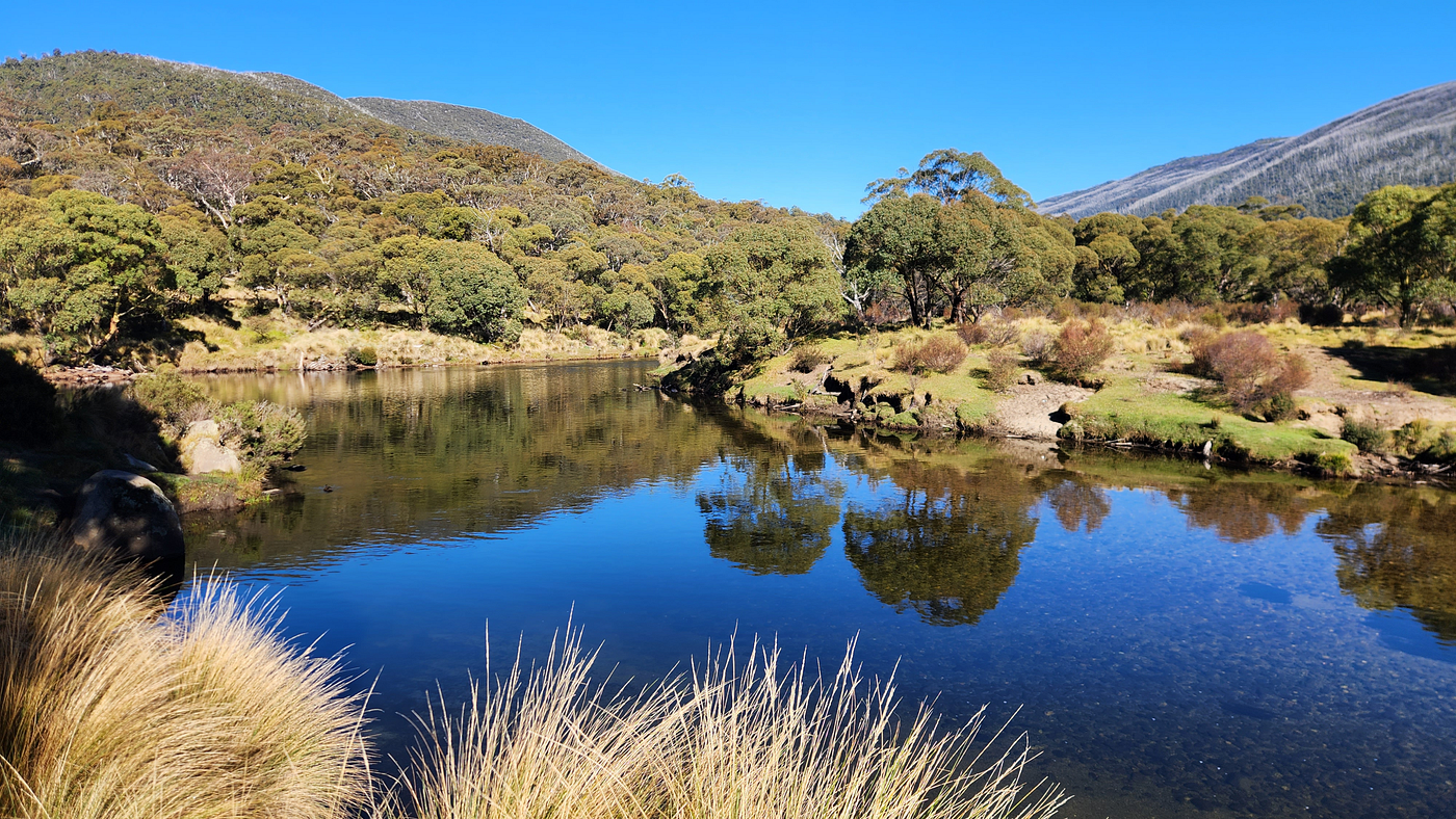 The Thredbo River behind Thredbo Diggings campground