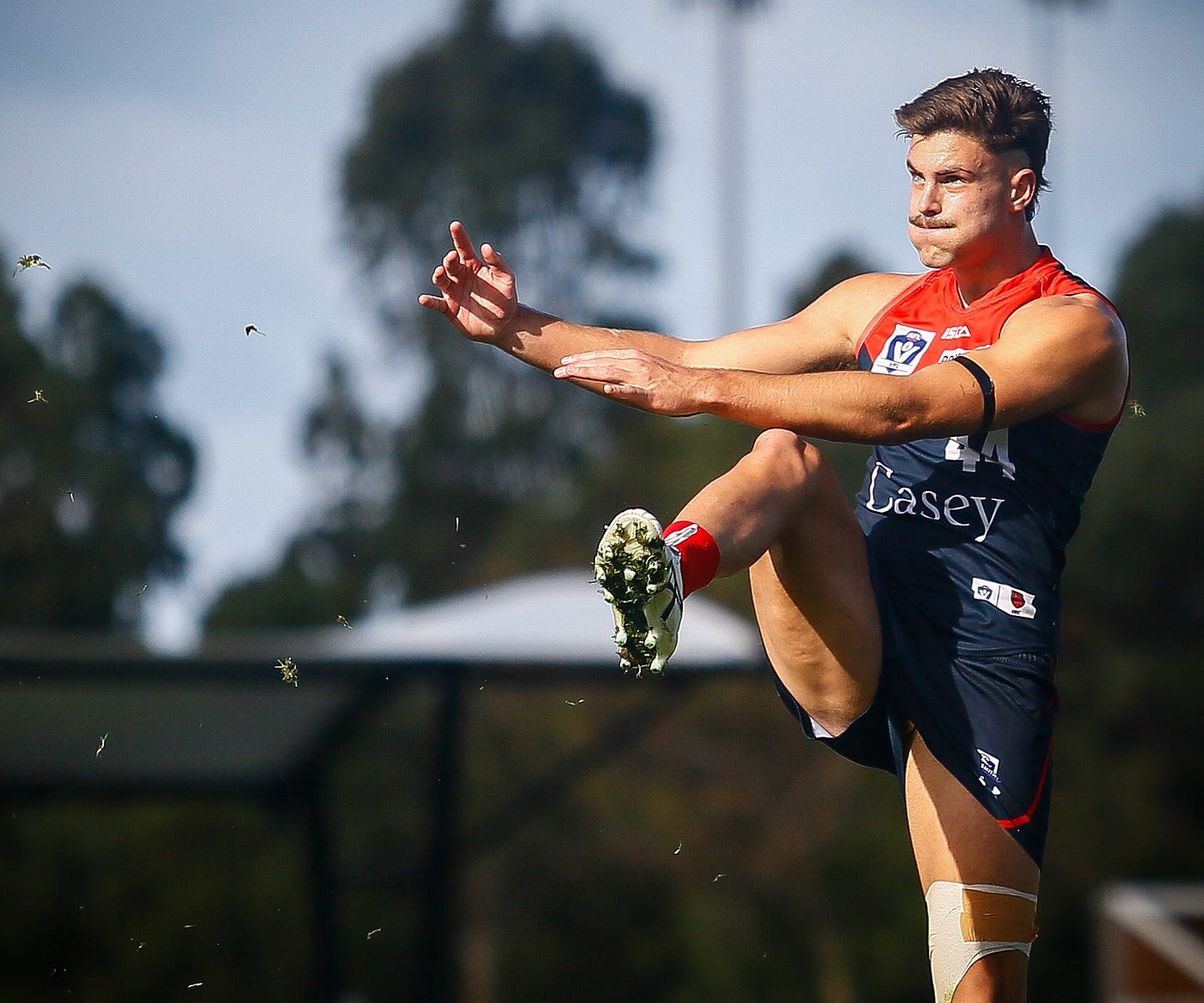 Fitzgerald arrives, Heath dominates and Kentfield keeps knocking: What Melbourne learned from…