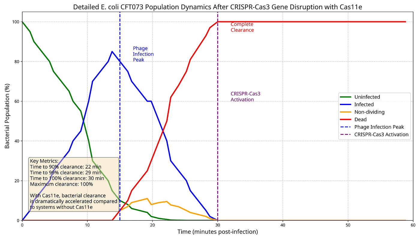 This graph shows the different phases that the bacterial cells go through from the beginning of infection till they are eliminated.