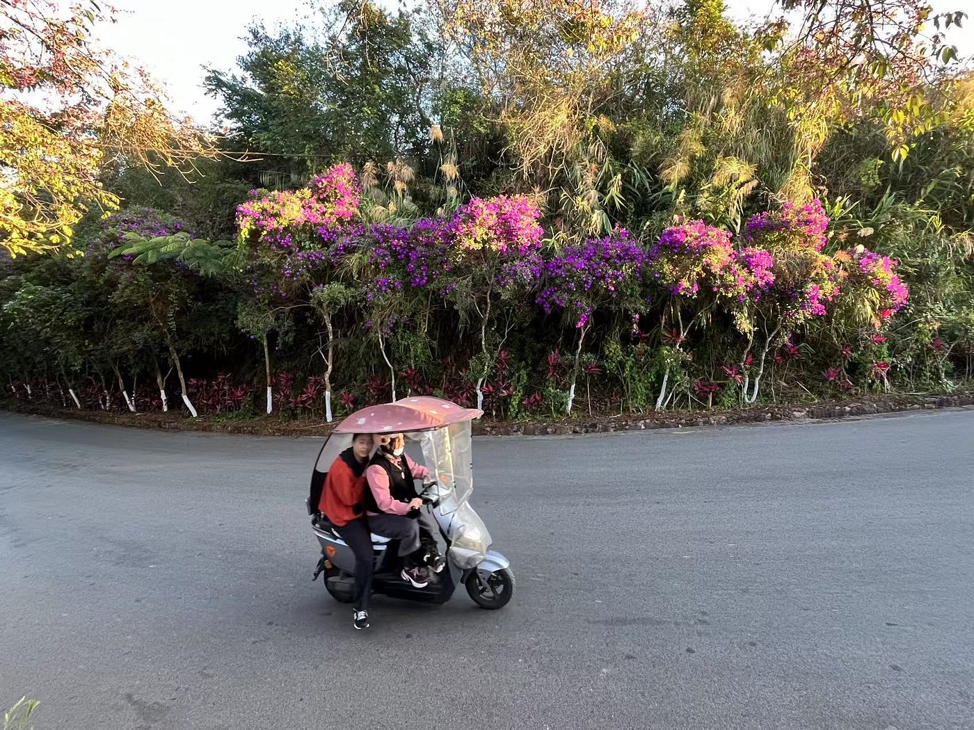 Yunnan: Beyond Mountains and Tea, A Place That Redefines Beauty