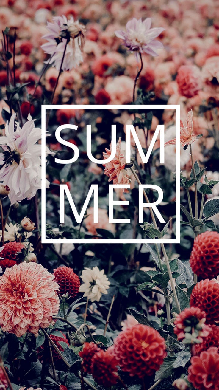 summer quotes wallpapers