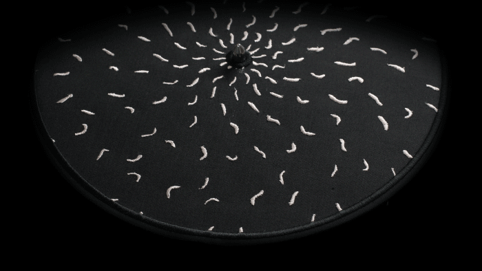 Making Animal Collective's Animated Slipmat, by Elliot Schultz