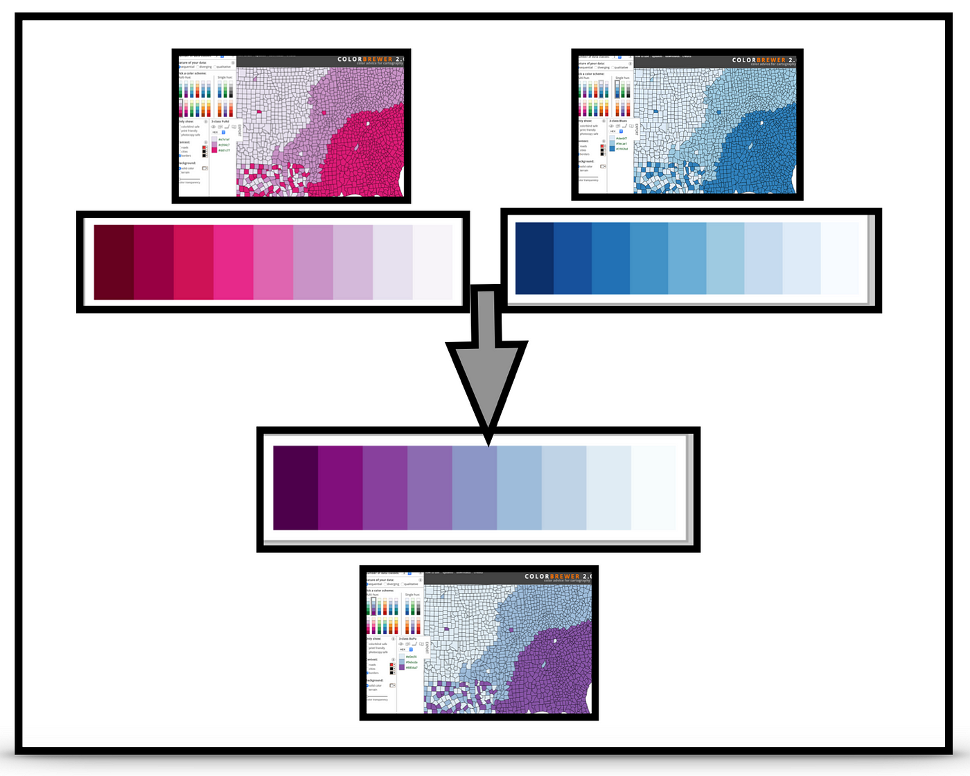 Colour brewer 2024