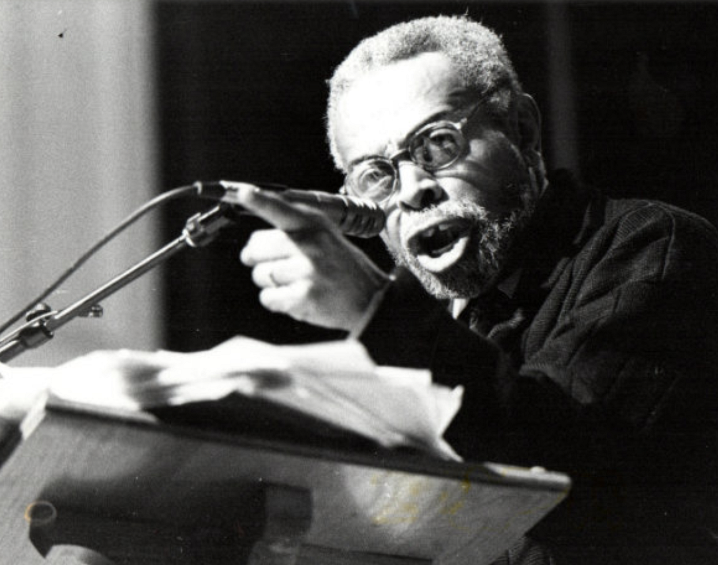 Sarcasm and Allusion, Amiri Baraka’s Critique of Society