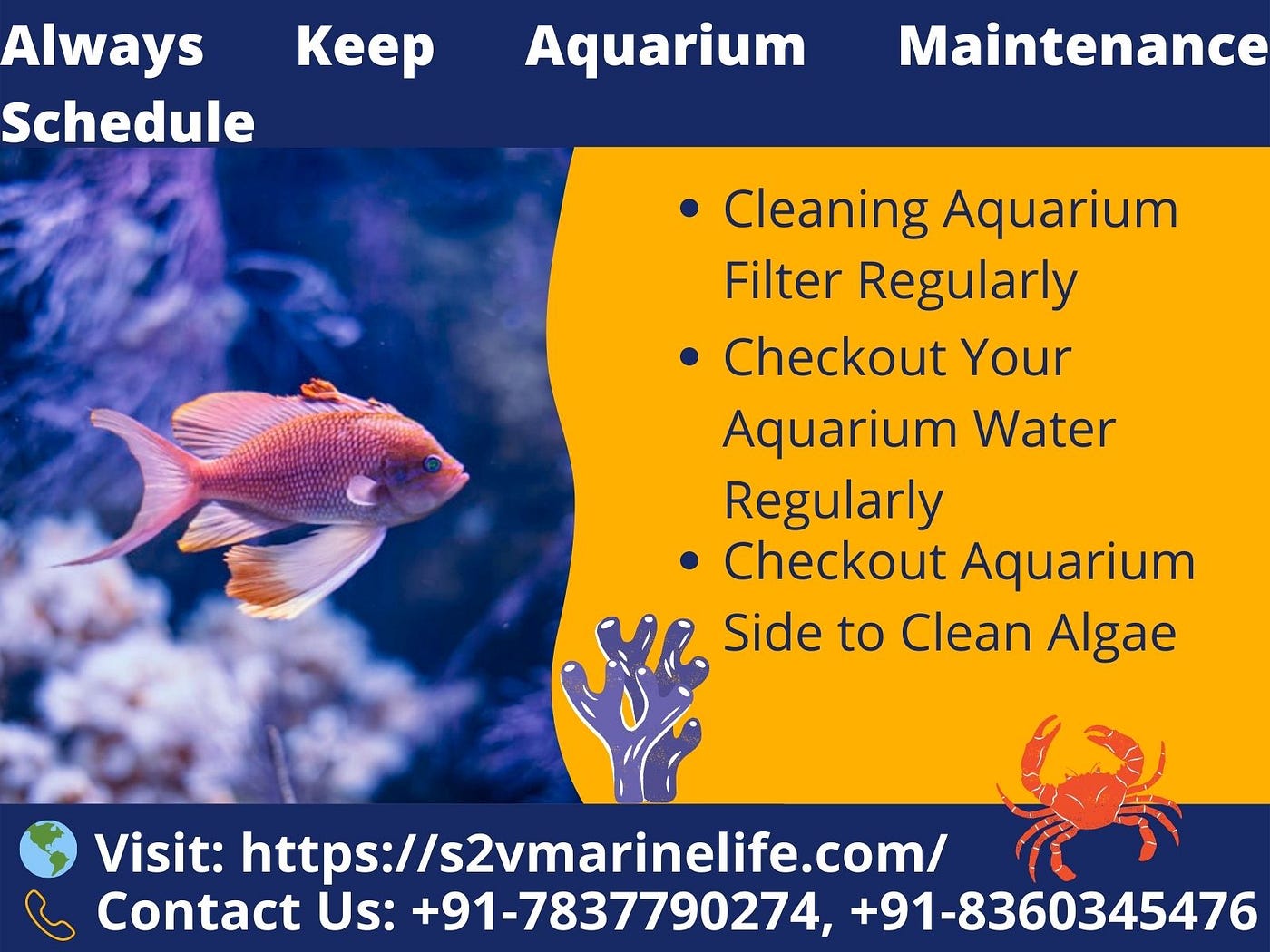 Why Fish Keeping Is Great Hobby, Best Internal Aquarium Filter For Your  Fish, by S2Vmarinelife