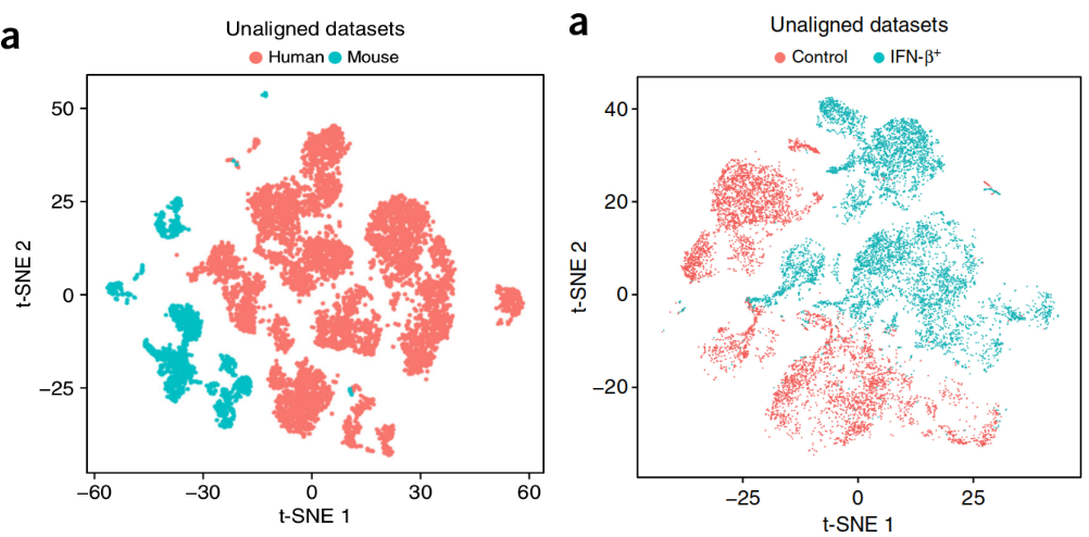 cKBET: assessing goodness of batch effect correction for single-cell RNA-seq