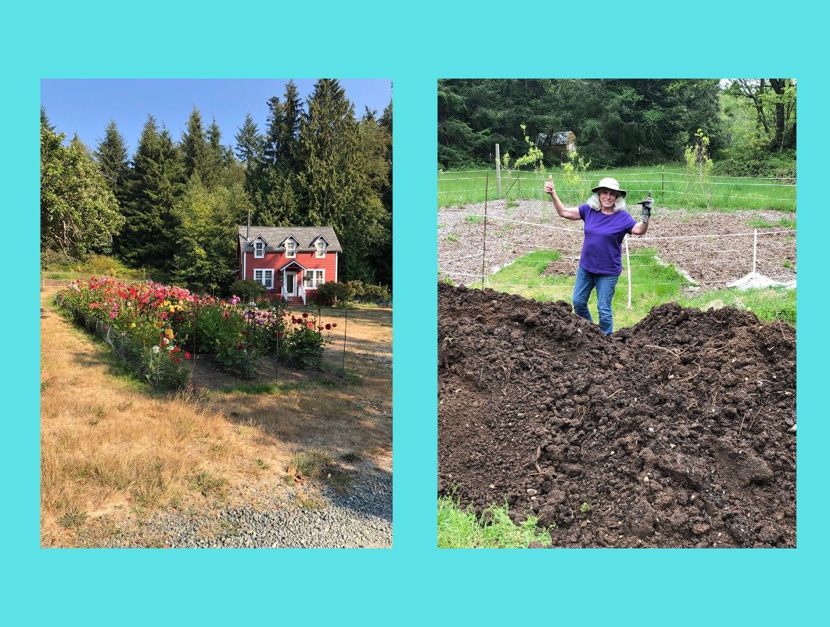 달리아 정원과 숲이 있는 초원에 있는 2층짜리 붉은색 별장의 이미지. 퇴비 더미 위에 서 있는 작가의 또 다른 이미지.