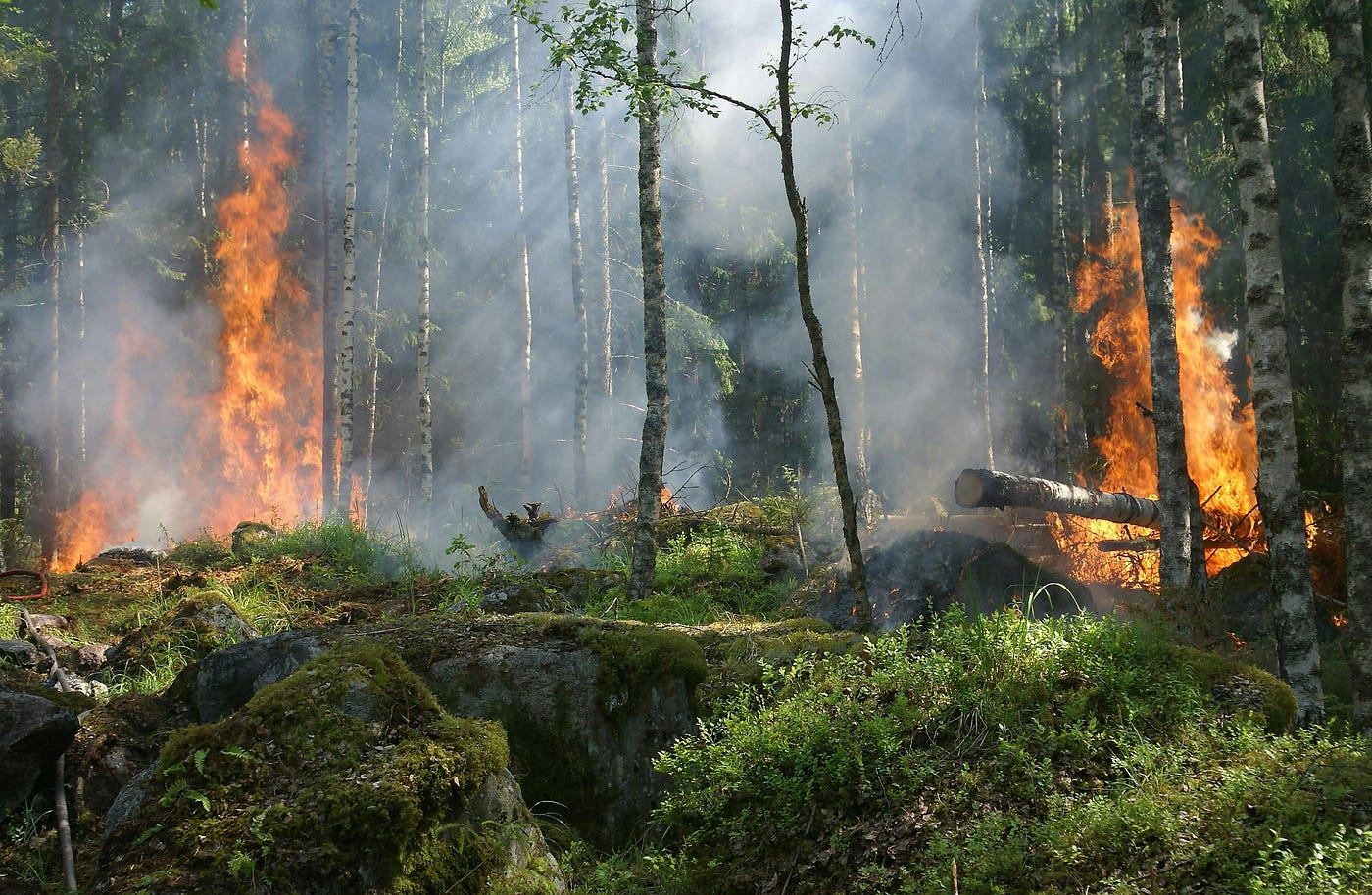 “The Rage of the Planet: How Extreme Weather Is Redrawing the World — and Forcing Us to Rethink”