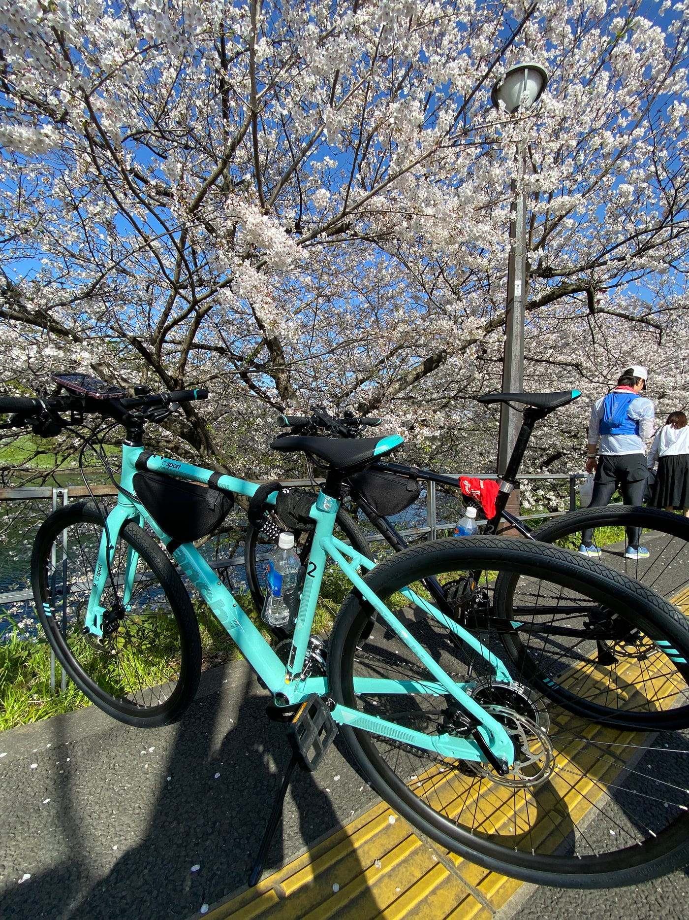 Imperial Palace: Where Tokyo’s history meets the speed of the city.